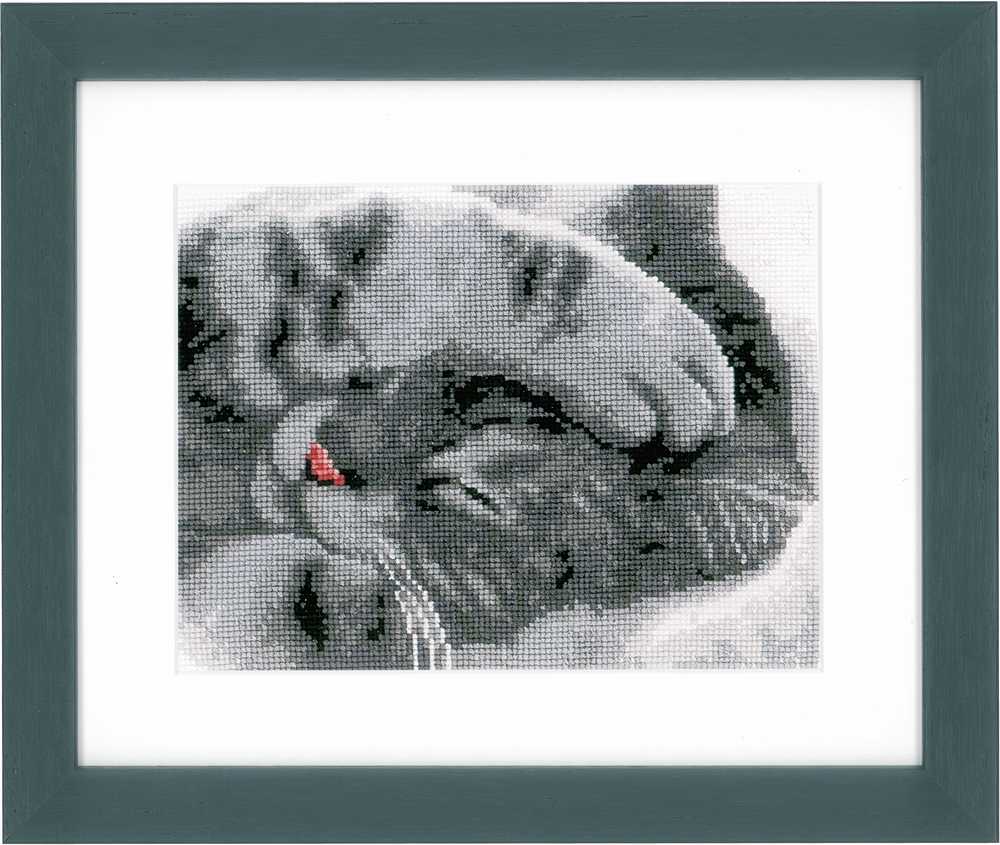 Cute Kitten Cross Stitch Kit Vervaco