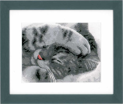 Cute Kitten Cross Stitch Kit Vervaco