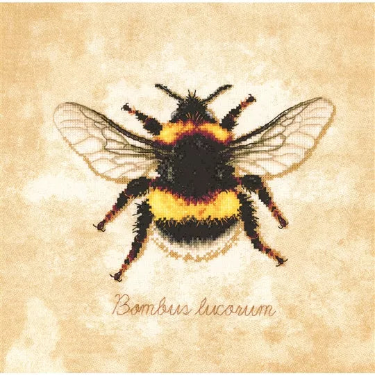Bombus Lucorum Bee Cross Stitch Kit ~ Lanarte
