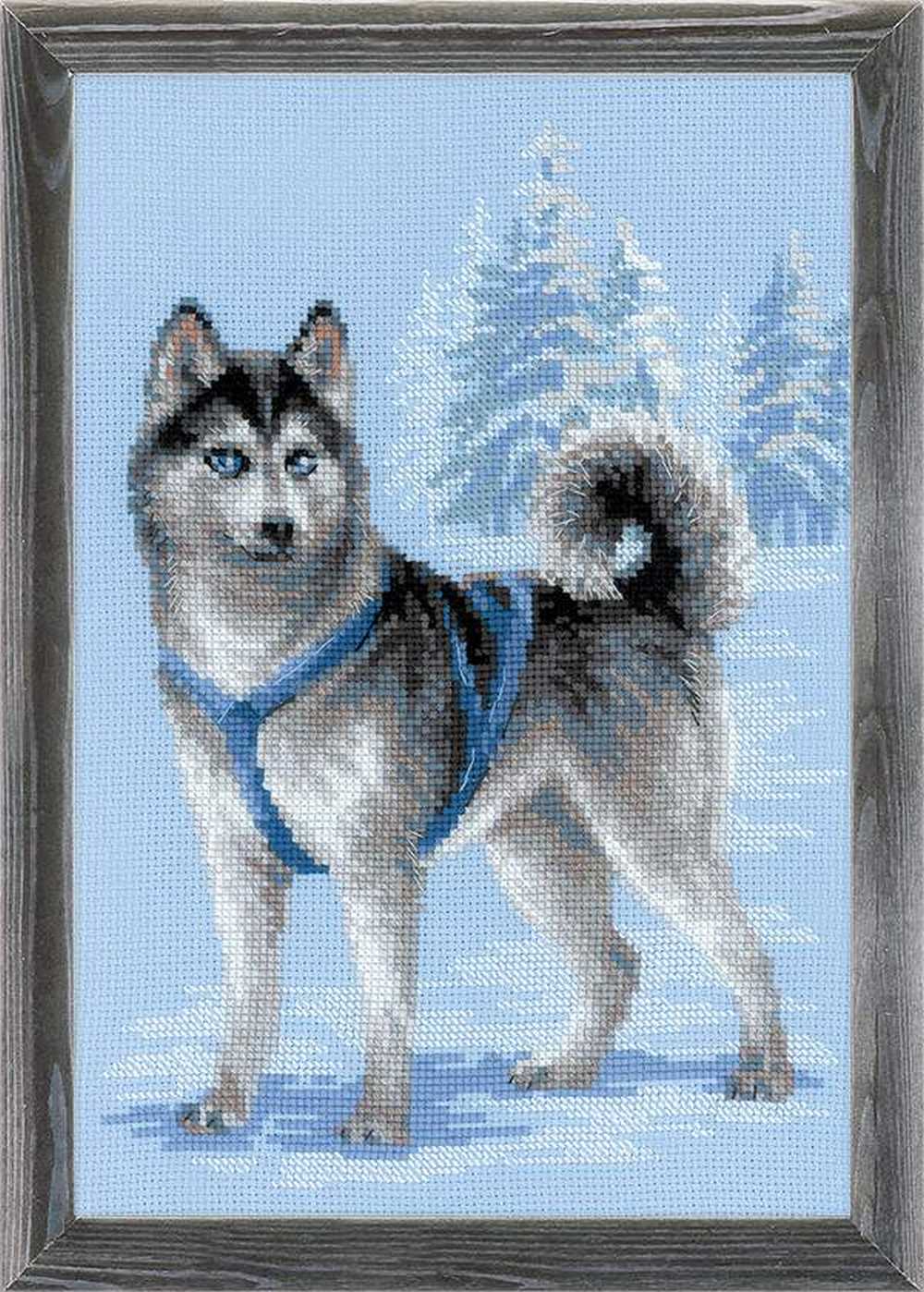 Riolis Cross Stitch Kit - Husky