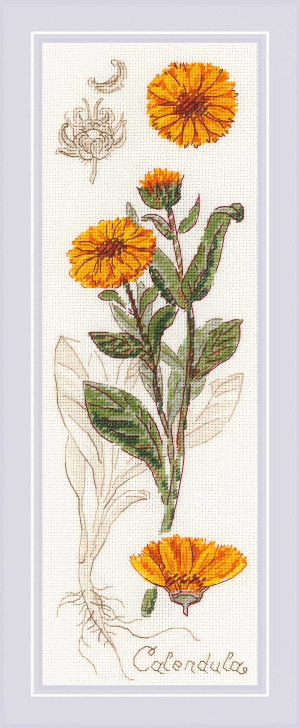 Riolis Cross Stitch Kit - Calendula