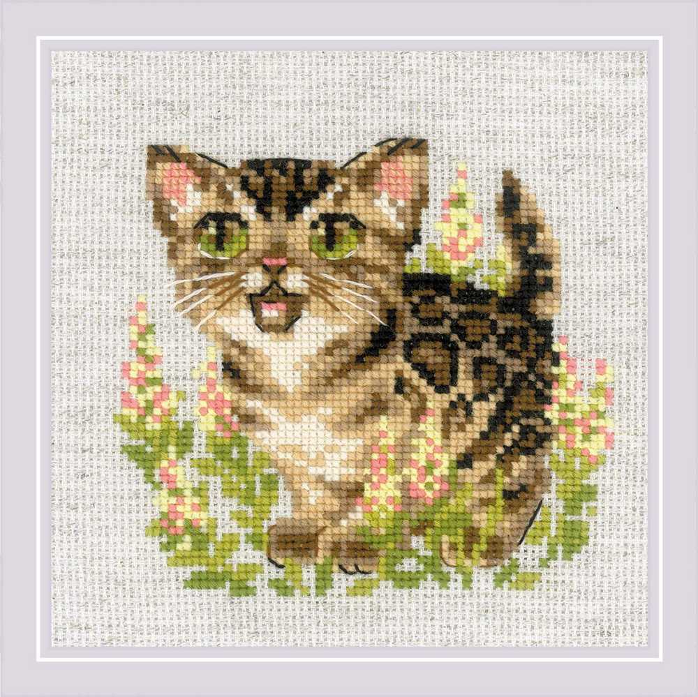 Riolis Cross Stitch Kit - Bengal Kitten