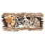 Fluffy Trio Cross Stitch Kit - Andriana