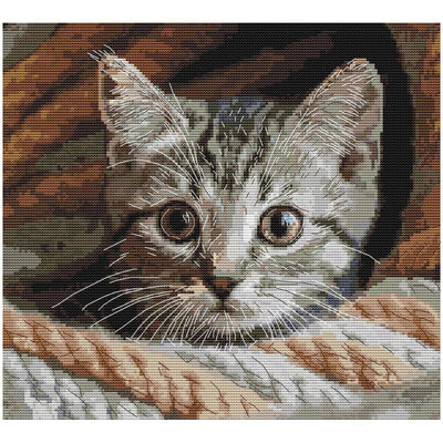 Whiskered Spy Cross Stitch Kit - Andriana
