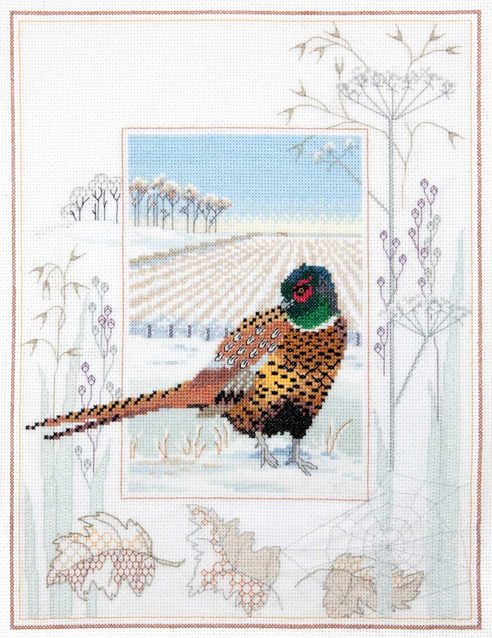 Wildlife - Pheasant Cross Stitch Kit by Derwentwater Designs