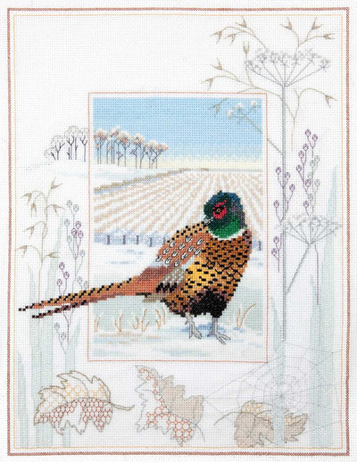 Wildlife - Pheasant Cross Stitch Kit by Derwentwater Designs