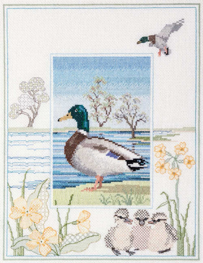 Wildlife - Mallard Cross Stitch Kit by Derwentwater Designs