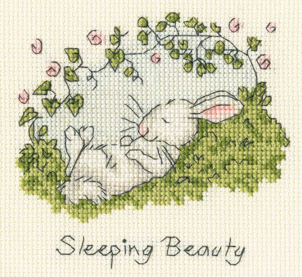 Sleeping Beauty Cross Stitch Kit ~ Bothy Threads