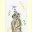 On The Lookout For A Party Thread & Fabric/ Card Kit ~ Bothy Threads
