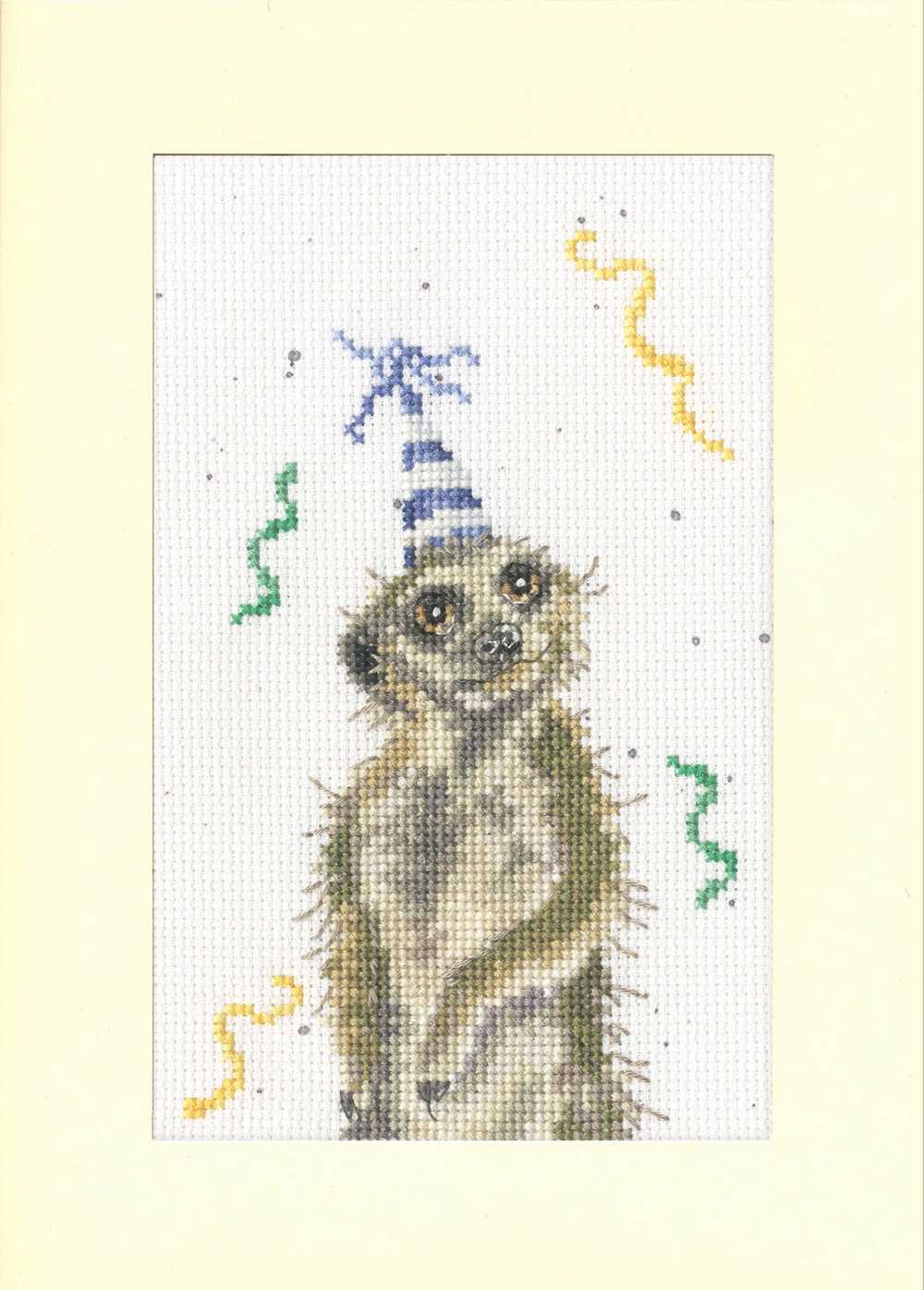 On The Lookout For A Party Thread & Fabric/ Card Kit ~ Bothy Threads
