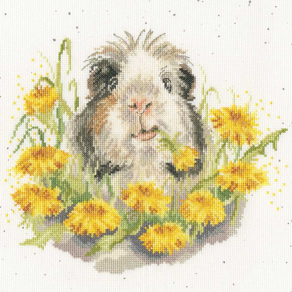Dandy Day Cross Stitch Kit ~ Bothy Threads
