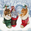 Snowy Kitties Cross Stitch Kit - Letitstitch