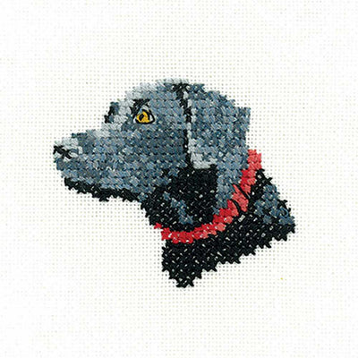 Black Labrador   Cross Stitch Kit Heritage Crafts