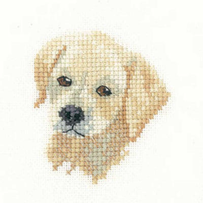 Golden Labrador Puppy   Cross Stitch Kit Heritage Crafts