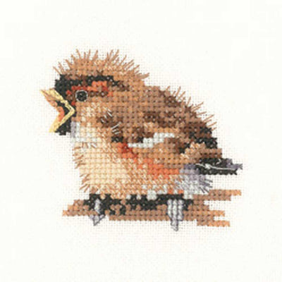 Sparrow  Cross Stitch Kit Heritage Crafts