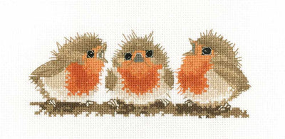 Ruffled Robins Cross Stitch Kit Heritage Crafts (Evenweave)