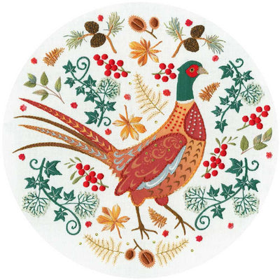 Folk Pheasant Embroidery Kit ~ Bothy Threads