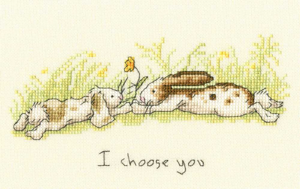 Bothy Threads I choose you  Cross Stitch Kit