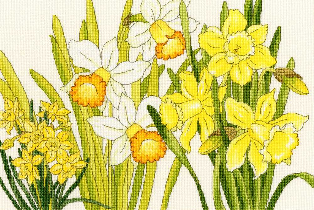 Daffodil Blooms Counted Cross Stitch Kit from Bothy Threads