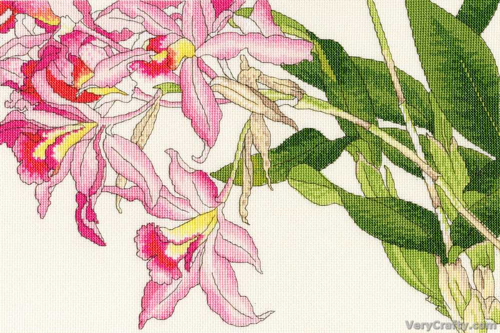 Bothy Threads Orchid Blooms Cross Stitch Kit
