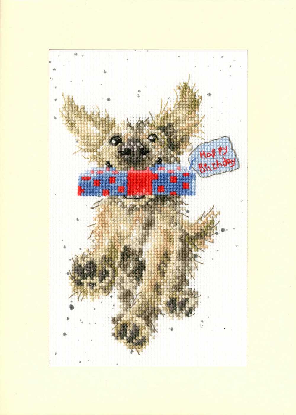 Bothy Threads Special Delivery  Cross Stitch Card Kit