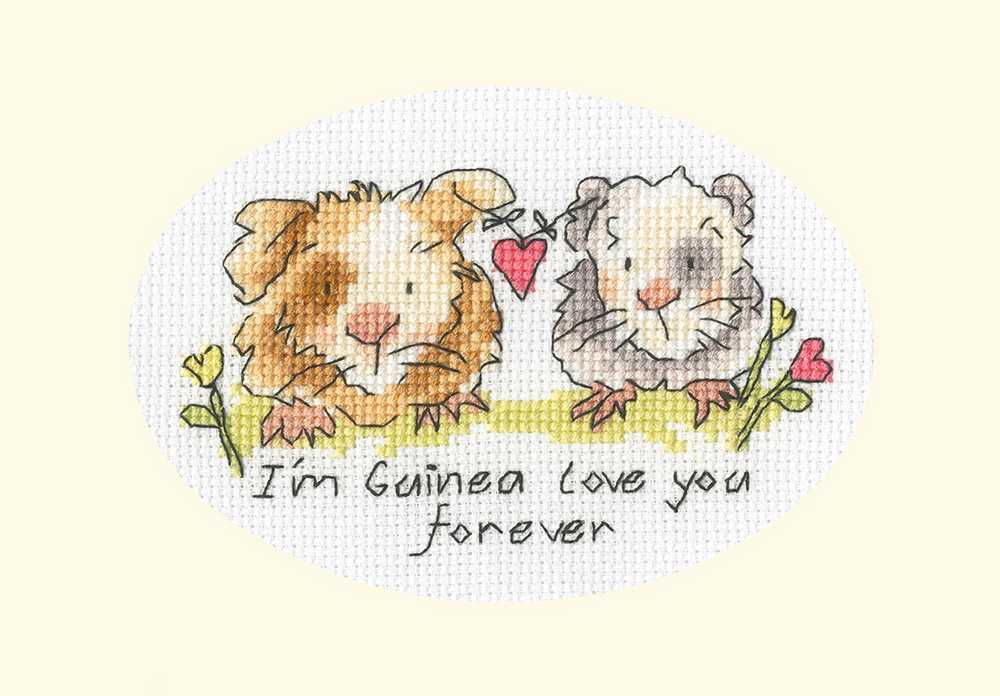 I'm Guinea Love You Forever  Cross Stitch Kit - Bothy Threads