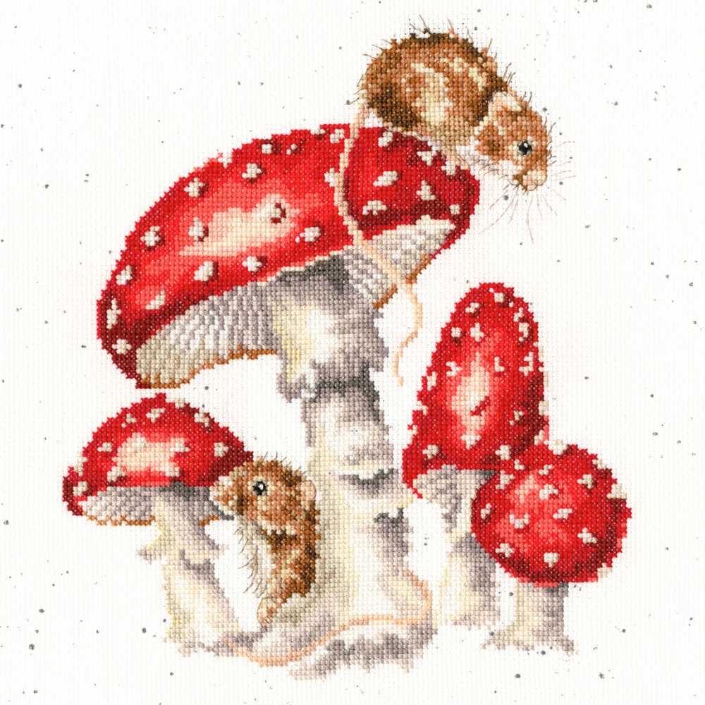 Bothy Threads The Fairy Ring Cross Stitch  Kit