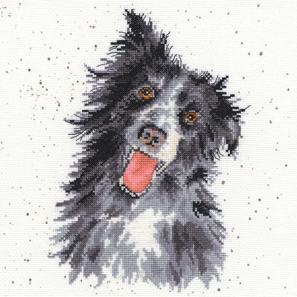 Collie - Dog Counted Cross Stitch Kit by Hannah Dale of Wrendale Designs *(EVENWEAVE)*
