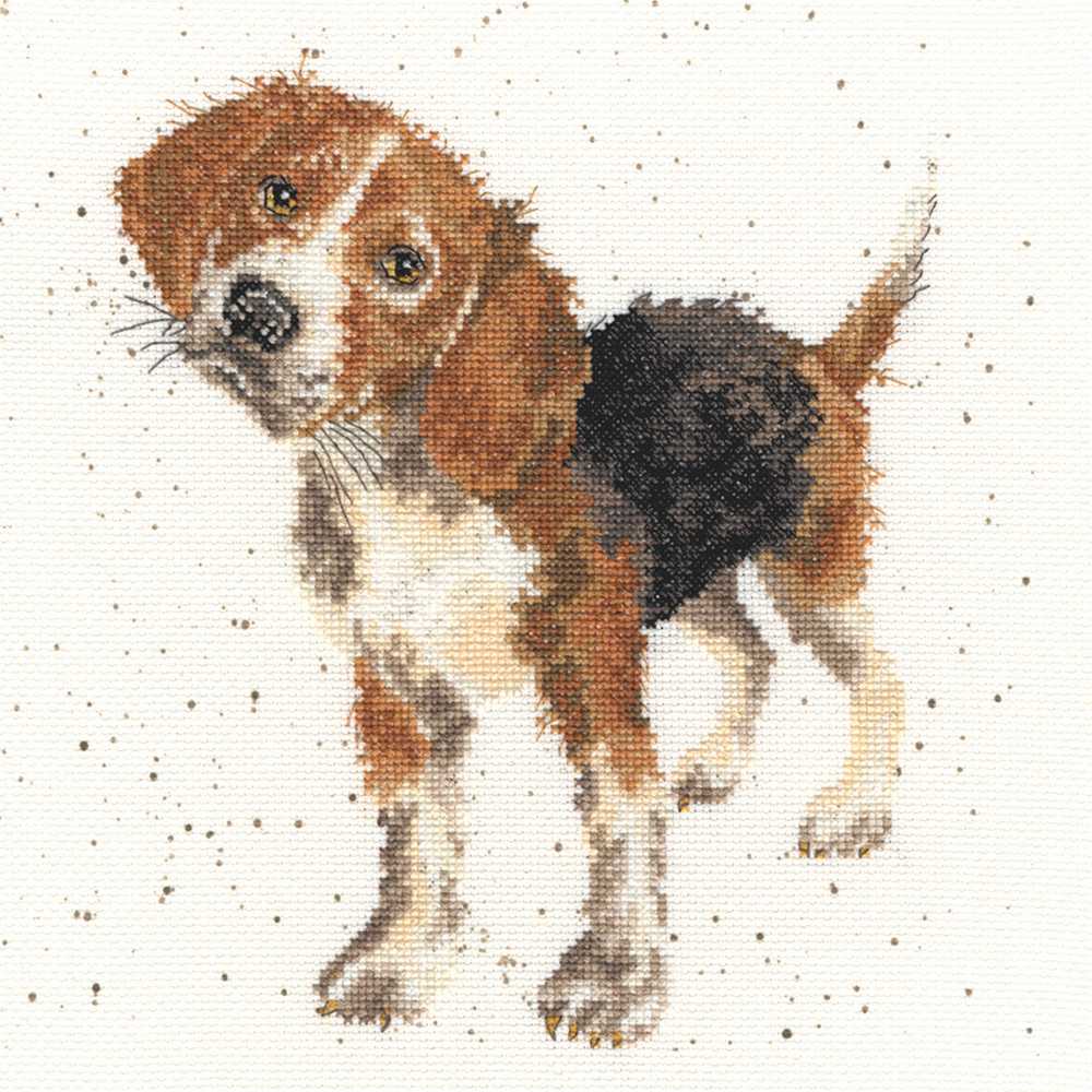 Beagle - Dog Counted Cross Stitch Kit by Hannah Dale of Wrendale Designs *(EVENWEAVE)*