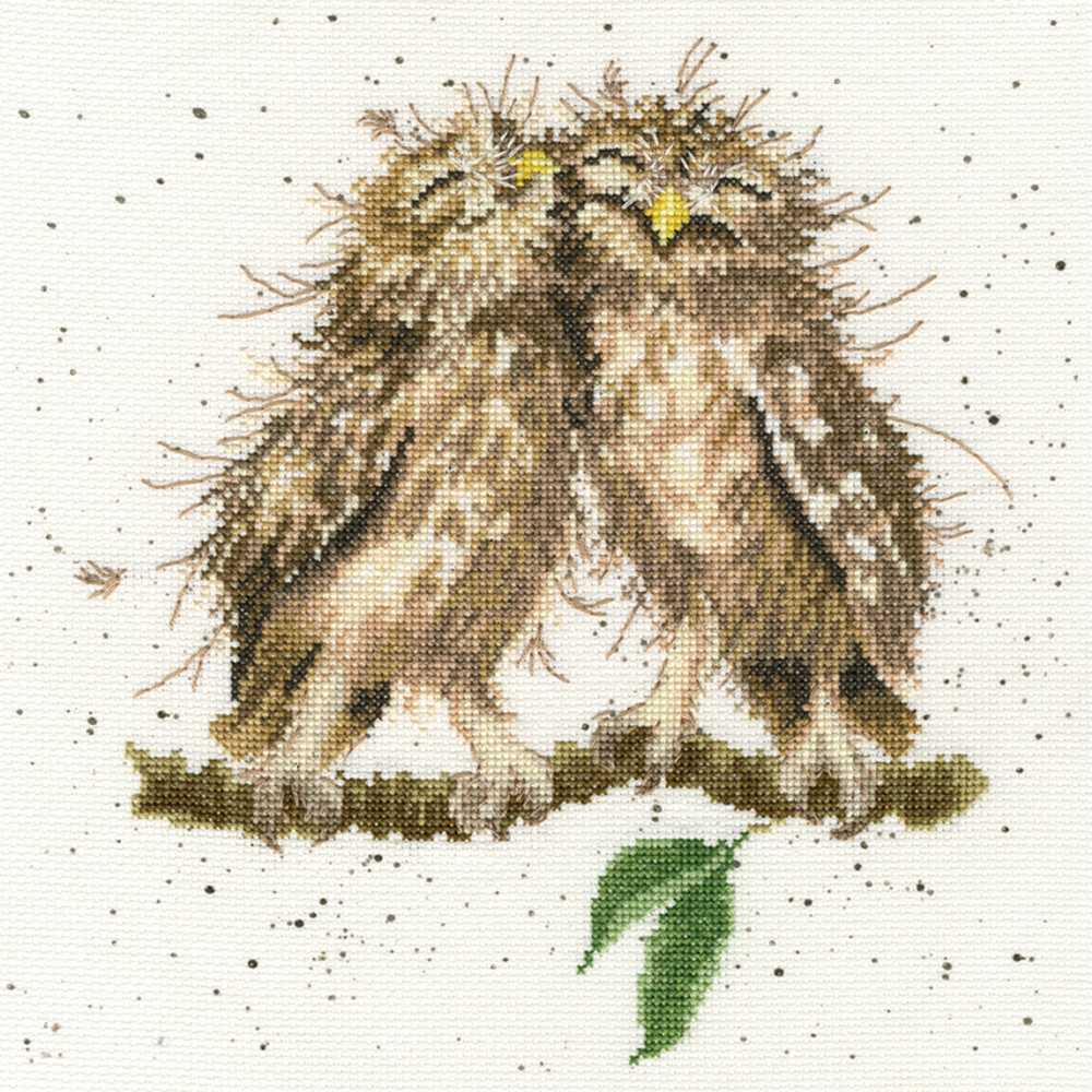 Birds of a Feather Counted Cross Stitch Kit by Hannah Dale of Wrendale Designs *(EVENWEAVE)*