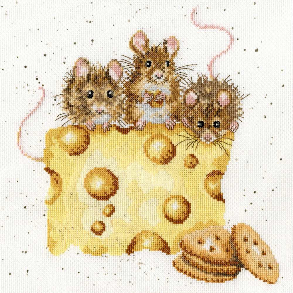 Crackers About Cheese  - Counted Cross Stitch Kit by Hannah Dale of Wrendale Designs